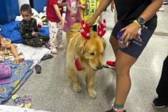 WhatsApp-Image-2025-12-05-at-22.33.19