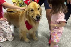 WhatsApp-Image-2025-12-05-at-22.33.20