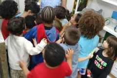 WhatsApp-Image-2025-12-06-at-01.21.19-3